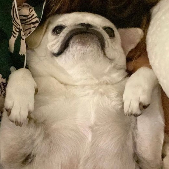 Meet your Posher, Ryan - Picture 2 of 2